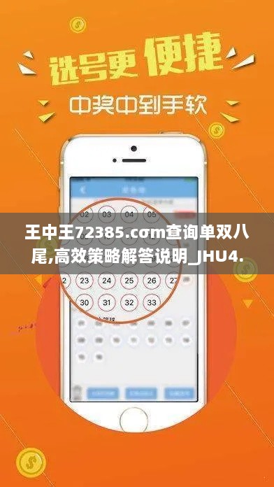 王中王72385.cσm查询单双八尾,高效策略解答说明_JHU4.70.45挑战版