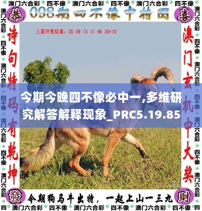 今期今晚四不像必中一,多维研究解答解释现象_PRC5.19.85炼骨境