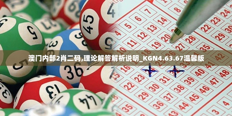 澳门内部2肖二码,理论解答解析说明_KGN4.63.67温馨版