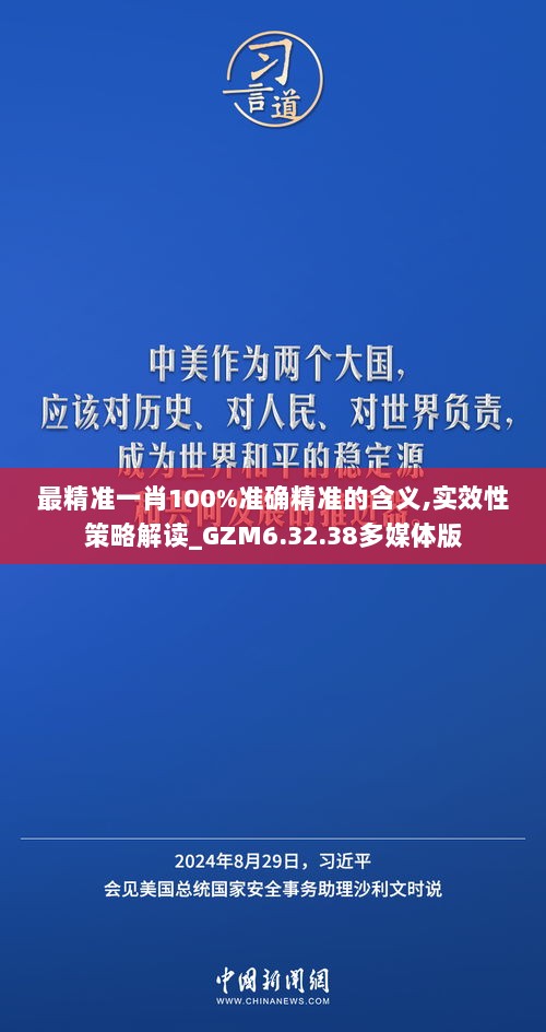 最精准一肖100%准确精准的含义,实效性策略解读_GZM6.32.38多媒体版