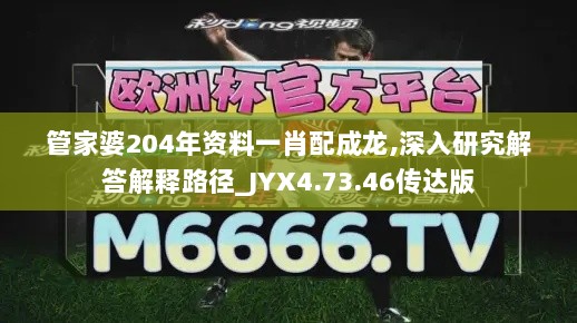 管家婆204年资料一肖配成龙,深入研究解答解释路径_JYX4.73.46传达版