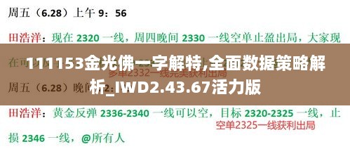 111153金光佛一字解特,全面数据策略解析_IWD2.43.67活力版