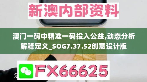 澳门一码中精准一码投入公益,动态分析解释定义_SOG7.37.52创意设计版