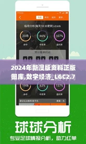 2024年新澳版资料正版图库,数字经济_LGC2.70.80实现版