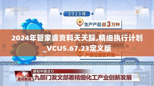 2024年管家婆资料天天踩,精细执行计划_VCU5.67.23定义版