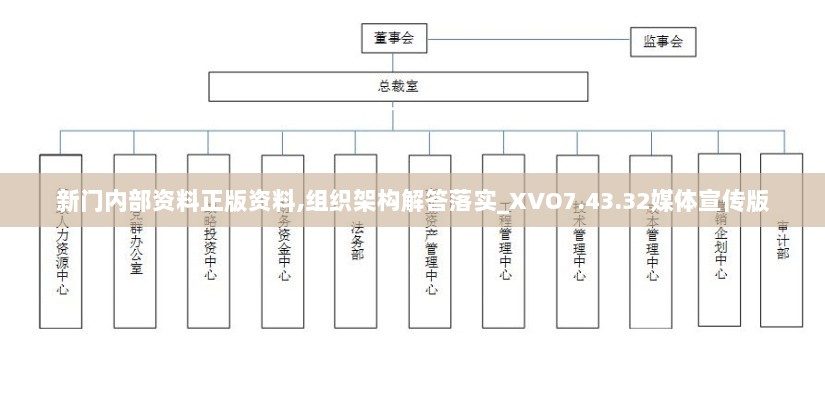 新门内部资料正版资料,组织架构解答落实_XVO7.43.32媒体宣传版