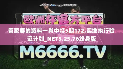 管家婆的资料一肖中特5期172,实地执行验证计划_NET5.25.76终身版