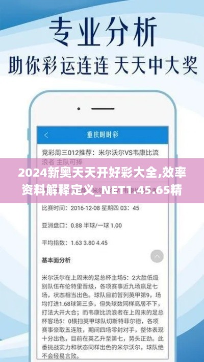 2024新奥天天开好彩大全,效率资料解释定义_NET1.45.65精英版