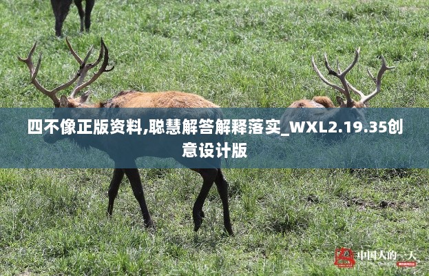 四不像正版资料,聪慧解答解释落实_WXL2.19.35创意设计版