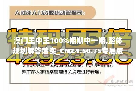 澳门王中王100%期期中一期,整体规划解答落实_CNZ4.50.75专属版