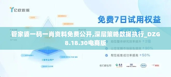 管家婆一码一肖资料免费公开,深层策略数据执行_DZG8.18.30电商版