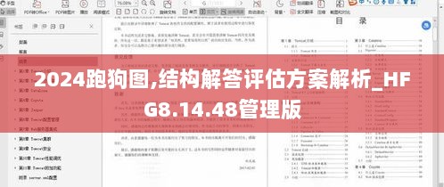 2024跑狗图,结构解答评估方案解析_HFG8.14.48管理版