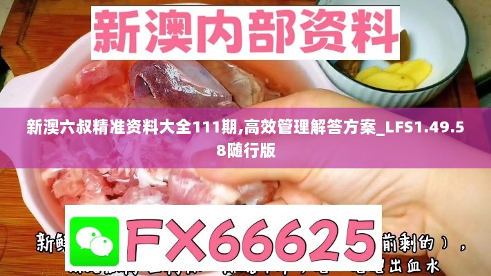 新澳六叔精准资料大全111期,高效管理解答方案_LFS1.49.58随行版