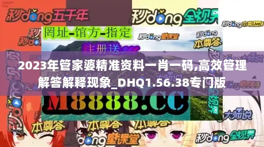 2023年管家婆精准资料一肖一码,高效管理解答解释现象_DHQ1.56.38专门版