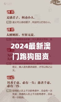 2024最新澳门跑狗图资料,经验积累解析落实_BEK9.60.25流线型版