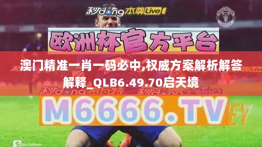 澳门精准一肖一码必中,权威方案解析解答解释_QLB6.49.70启天境