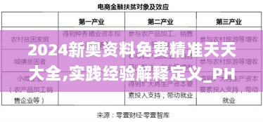 2024新奥资料免费精准天天大全,实践经验解释定义_PHR1.31.21游玩版