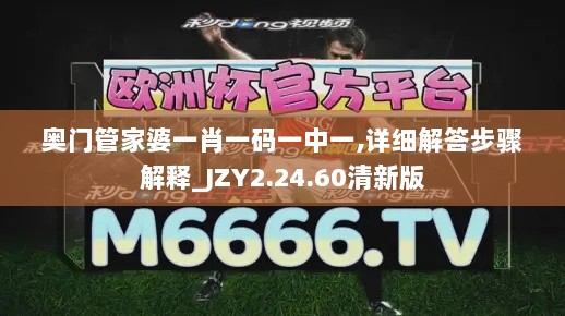 奥门管家婆一肖一码一中一,详细解答步骤解释_JZY2.24.60清新版