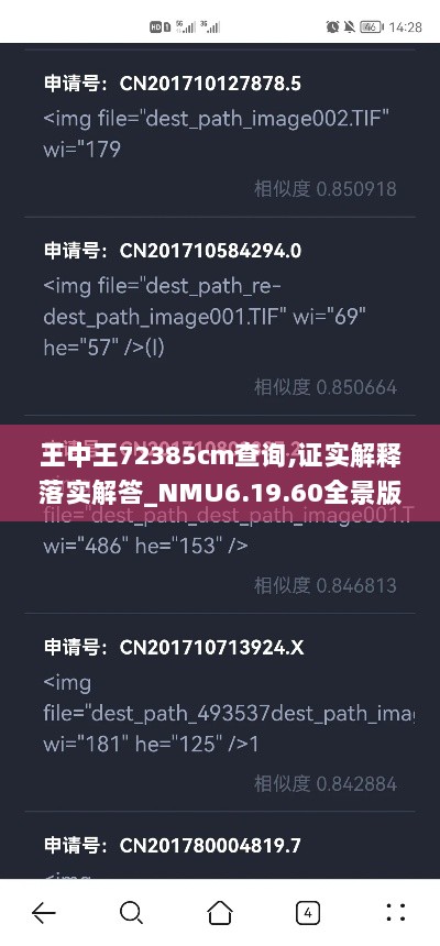 王中王72385cm查询,证实解释落实解答_NMU6.19.60全景版