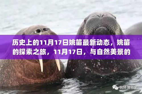 姚笛的探索之旅，11月17日与自然美景的邂逅