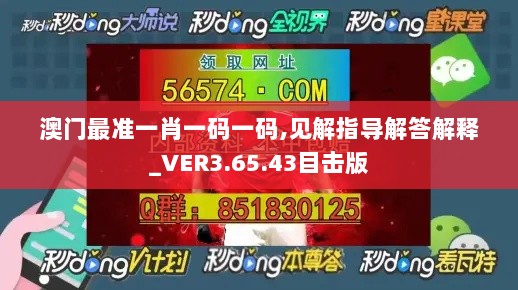 澳门最准一肖一码一码,见解指导解答解释_VER3.65.43目击版