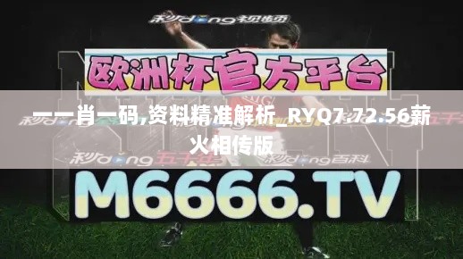 一一肖一码,资料精准解析_RYQ7.72.56薪火相传版