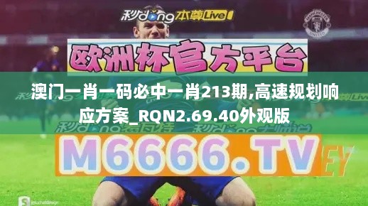 澳门一肖一码必中一肖213期,高速规划响应方案_RQN2.69.40外观版