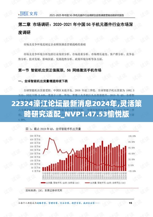 22324濠江论坛最新消息2024年,灵活策略研究适配_NVP1.47.53愉悦版