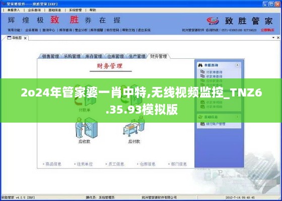2o24年管家婆一肖中特,无线视频监控_TNZ6.35.93模拟版