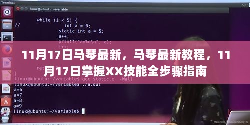11月17日马琴最新XX技能全掌握教程，快速掌握全步骤指南