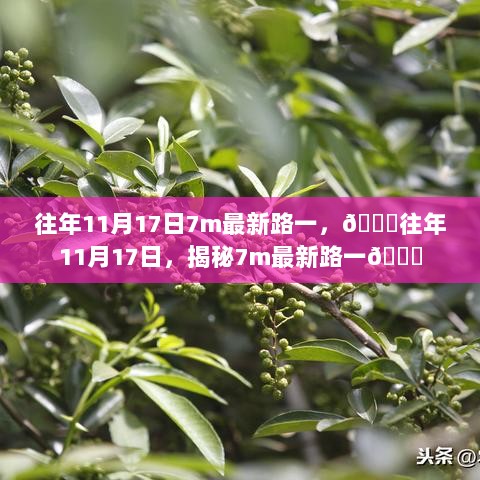 揭秘往年11月17日的7m最新路一