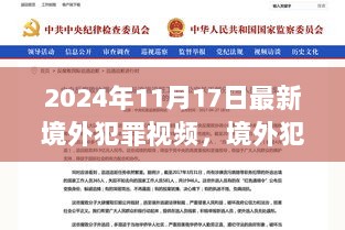 2024年境外犯罪视频的警示与思考，警醒全球的犯罪案例分析