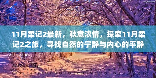 11月柔记2之旅，寻找自然的宁静与内心的平静