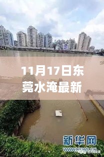 11月17日东莞水淹应对与自救指南