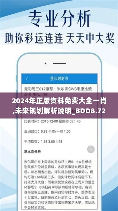 2024年正版资料免费大全一肖,未来规划解析说明_BDD8.72.57普及版