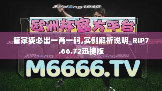 管家婆必出一肖一码,实例解析说明_RIP7.66.72迅捷版