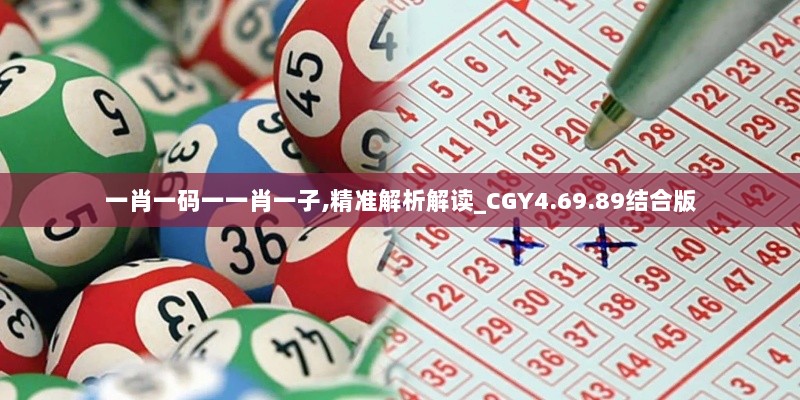 一肖一码一一肖一子,精准解析解读_CGY4.69.89结合版