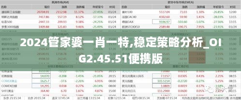 2024管家婆一肖一特,稳定策略分析_OIG2.45.51便携版