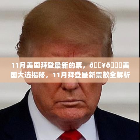 11月美国大选揭秘，拜登最新票数全解析