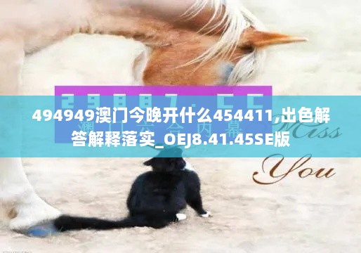 494949澳门今晚开什么454411,出色解答解释落实_OEJ8.41.45SE版