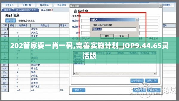 202管家婆一肖一码,完善实施计划_JOP9.44.65灵活版