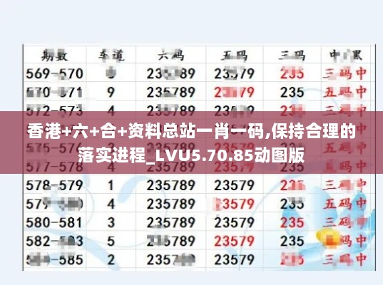 香港+六+合+资料总站一肖一码,保持合理的落实进程_LVU5.70.85动图版