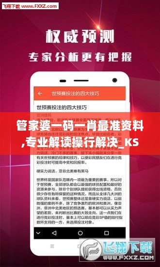 管家婆一码一肖最准资料,专业解读操行解决_KSC4.69.28编辑版