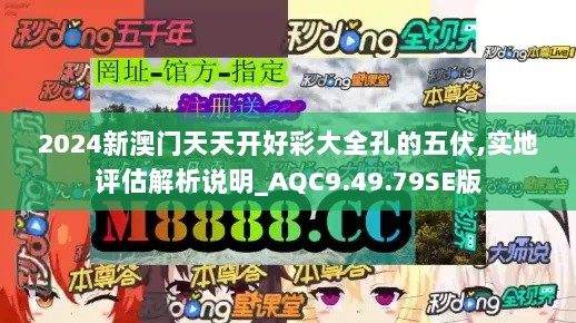 2024新澳门天天开好彩大全孔的五伏,实地评估解析说明_AQC9.49.79SE版