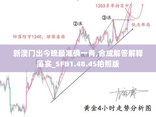 新澳门出今晚最准确一肖,合成解答解释落实_SFB1.48.45拍照版