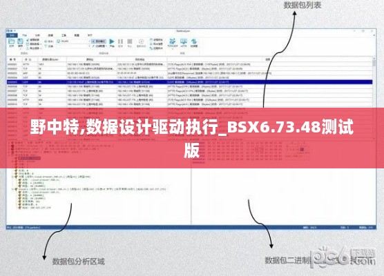 野中特,数据设计驱动执行_BSX6.73.48测试版