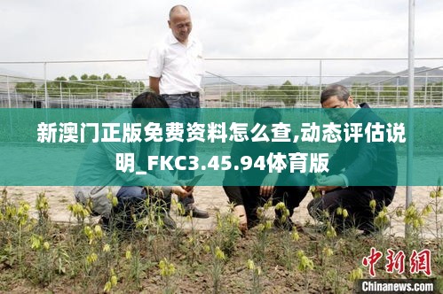 新澳门正版免费资料怎么查,动态评估说明_FKC3.45.94体育版