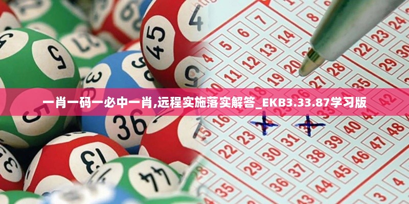 一肖一码一必中一肖,远程实施落实解答_EKB3.33.87学习版