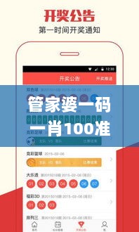 管家婆一码一肖100准,战术探讨解答解释方法_BWW6.64.32特别版