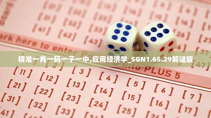 精准一肖一码一子一中,应用经济学_SGN1.65.29解谜版